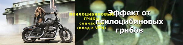 синтетический гашиш Туринск