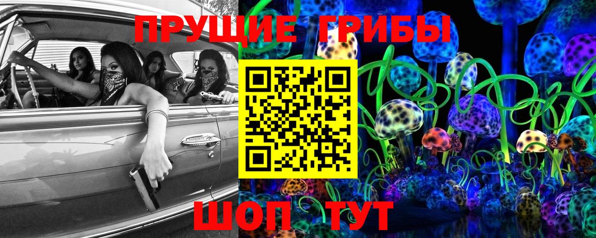 Галлюциногенные грибы прущие грибы Буйнакск